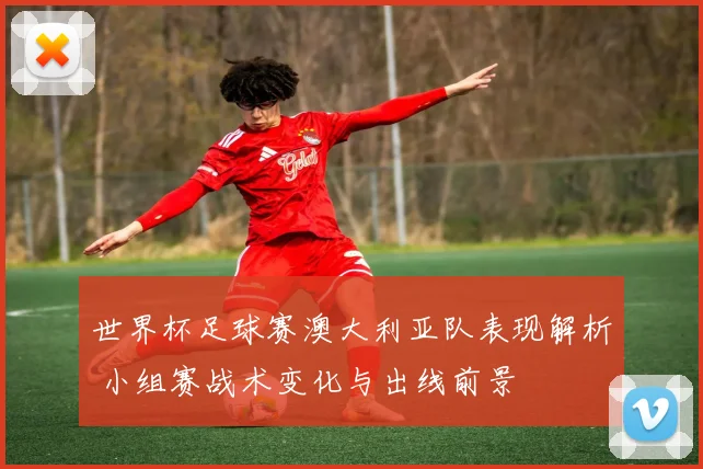 世界杯足球赛澳大利亚队表现解析 小组赛战术变化与出线前景