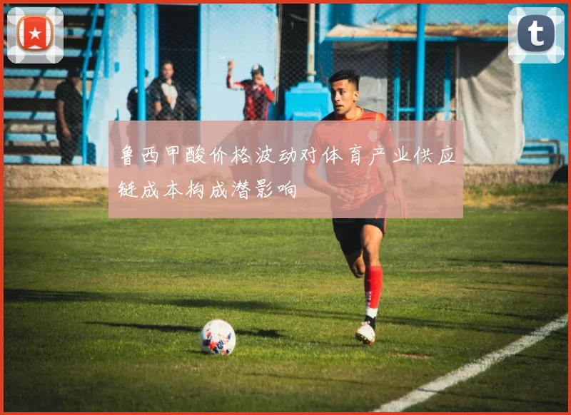 鲁西甲酸价格波动对体育产业供应链成本构成潜影响