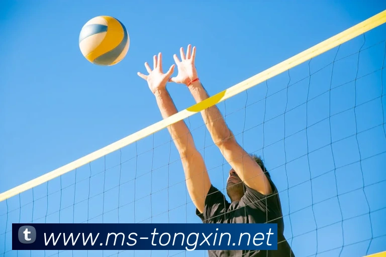 多媒体互动体验