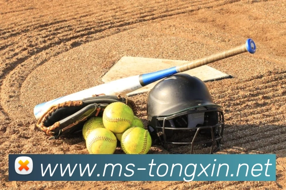 开云手机在线官网登录APP 高清赛事图